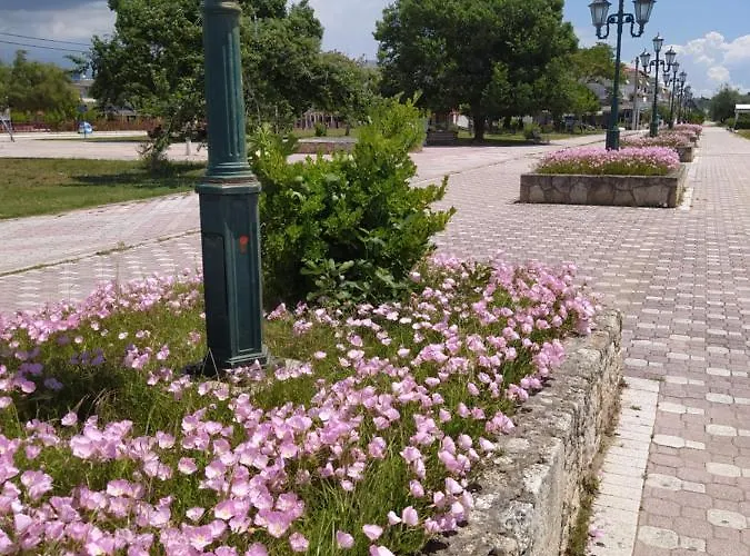 Hause Zorbas