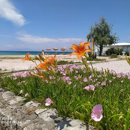 Aparthotel Hause Zorbas *