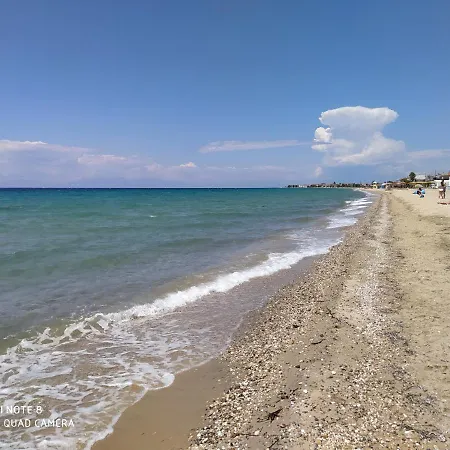 Hause Zorbas 3* Paralia Dionisiou