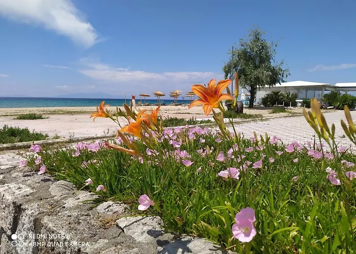 Hotel de apartamente Hause Zorbas 3*